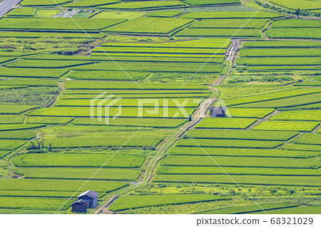 Rural scenery of Kameoka, Kyoto 68321029