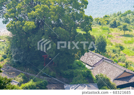 Xu Fukunomiya 68321685