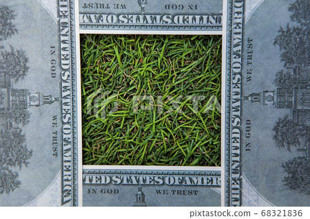 image of money grass background  68321836