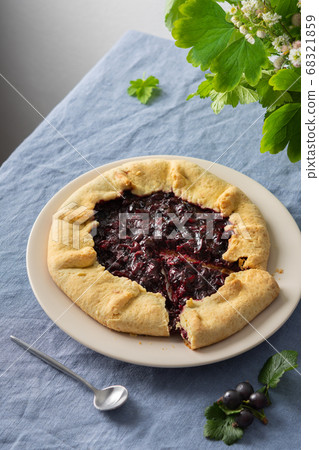 Delicious jostaberry galette 68321859