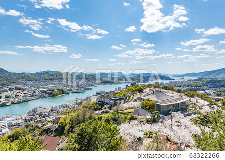 Onomichi City, Hiroshima Prefecture Scenery of Onomichi with cherry blossoms in full bloom Onomichi Channel viewed from the Onomichi City Museum of Art 68322266