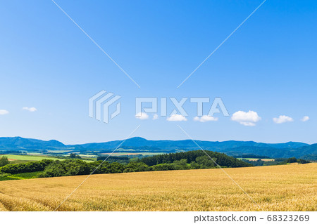 Blue sky, white clouds and Biei hill Blue sky, white clouds and Biei hill 68323269