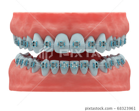 Realistic human jaws with healthy teeth 68323961