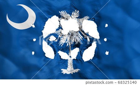Holes in South Carolina state flag 68325140