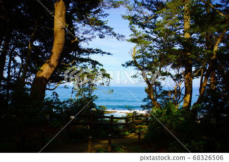 北茨城/伊盧拉海岸由藍色的大海和綠色的松樹林編織而成的類似照片的拍攝點 68326506