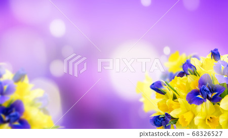 bouquet of daffodil and iris flowers bouquet of daffodil and iris flowers 68326527