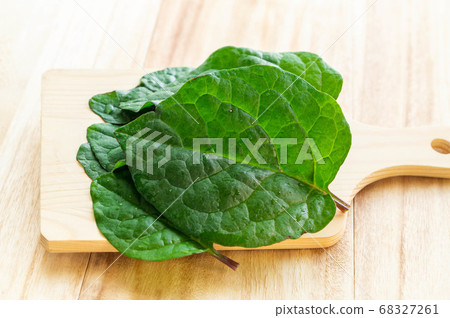 鶴村崎的葉子廚房花園 68327261