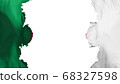 Blasted Algeria flag 68327598