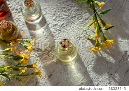 A bottle of essential oil with European goldenrod 68328343