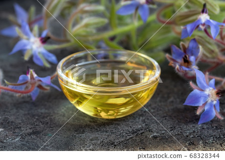 Borage oil with fresh blooming borage plant Borage oil with fresh blooming borage plant 68328344