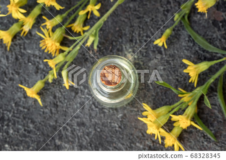 A bottle of essential oil with European goldenrod A bottle of essential oil with European goldenrod 68328345