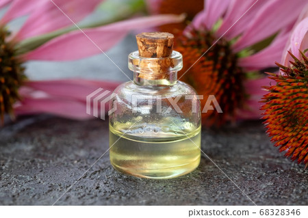 A bottle of essential oil with fresh echinacea A bottle of essential oil with fresh echinacea 68328346