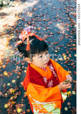 Autumn leaves and Shichigosan girls Autumn leaves and Shichigosan girls 68329164