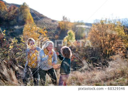 Small girl with mother and grandmother collecting rosehip fruit in autumn nature. 68329346