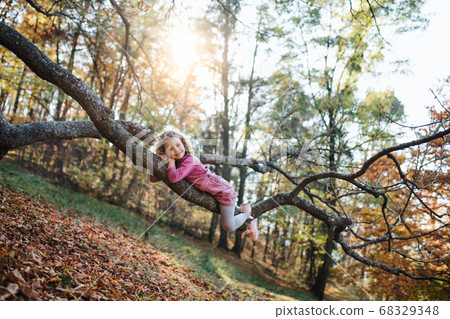 Small girl lying on tree branch in autumn forest, having fun. Small girl lying on tree branch in autumn forest, having fun. 68329348