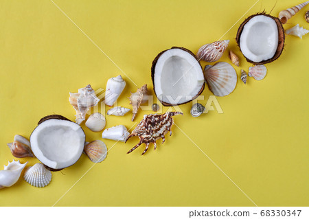 Cracked coconuts and seashells arranged in a line. 68330347