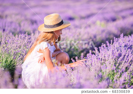 Woman in lavender flowers field in white dress and hat Woman in lavender flowers field in white dress and hat 68330839