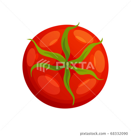 Tomato. Fresh healthy red tomato made in flat style. Single tomato. Vegetarian food. Vegetable from the farm. Organic food. Vector illustration of tomato Tomato. Fresh healthy red tomato made in flat style. Single tomato. Vegetarian food. Vegetable from the farm. Organic food. Vector illustration of tomato 68332090