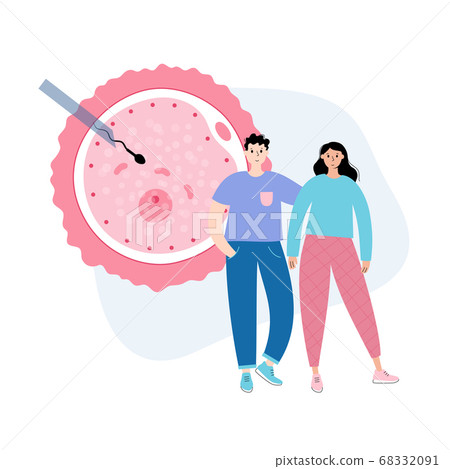 Reproductive system concept 68332091