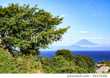 Agriculture on the soil of the Shonan Miura Peninsula Sunny fields overlooking Mt. Fuji (summer) 68334066