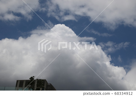 I looked up at the sky on a sunny day 68334912