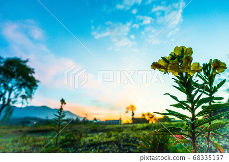 夏日的早晨 68335157