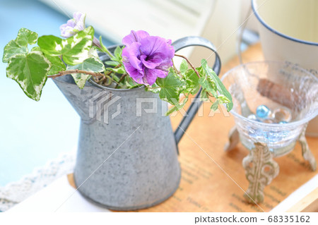 罐裝植物 68335162