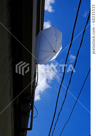 umbrella umbrella 68335535