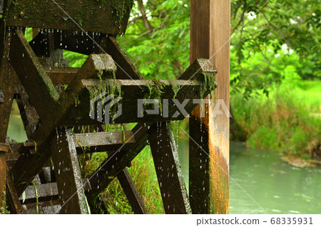 Nagano Daio Wasabi Farm 68335931