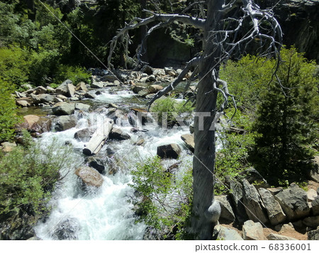 美國荒野公園 68336001