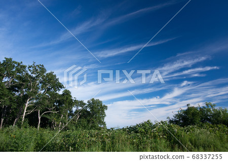 Clouds run Clouds run 68337255