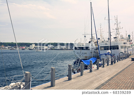 Kanagawa/Misaki Port 68339289