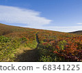 Autumn leaves of Mt. Kurikoma 68341225
