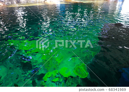 海洋研究 68341989