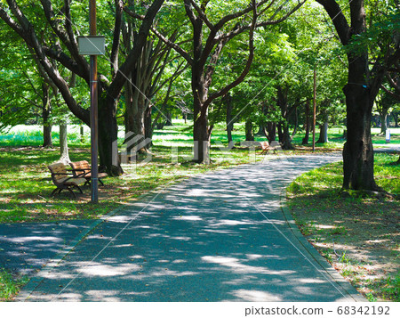 公園長廊 68342192