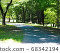 新鮮的綠色公園 68342194