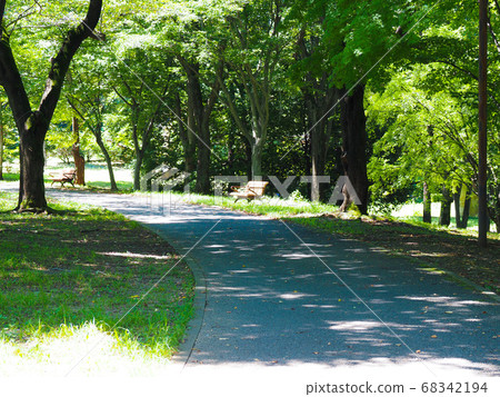 新鮮的綠色公園 新鮮的綠色公園 68342194