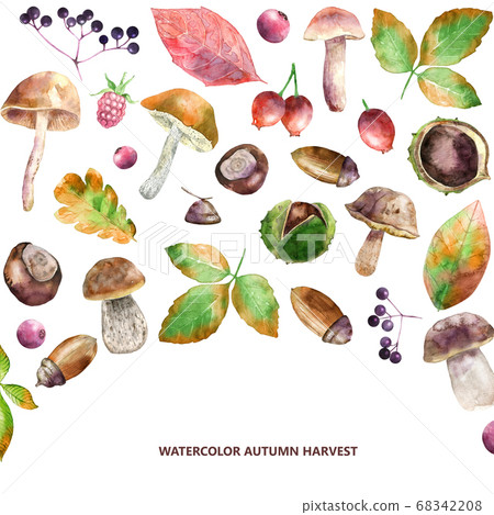 Watercolor border of autumn harvest 68342208