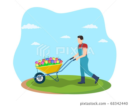 Garden wheelbarrow with spring flowers. 68342440