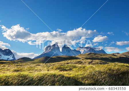 Torres Torres 68343550