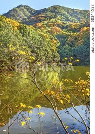 秋天的落葉和蘇門阿爾卑斯山的景觀 68344558