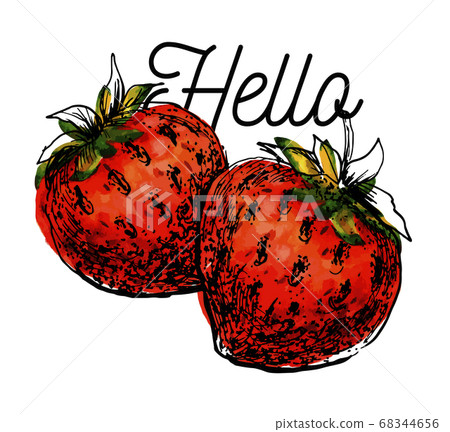 vector watercolor black strawberry branch on white vector watercolor black strawberry branch on white 68344656