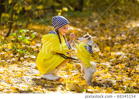 Little girl with a dog jack russell terrier. Child, childhood, friendship and pet concept. Small dog walking in the autumn park. 68345154