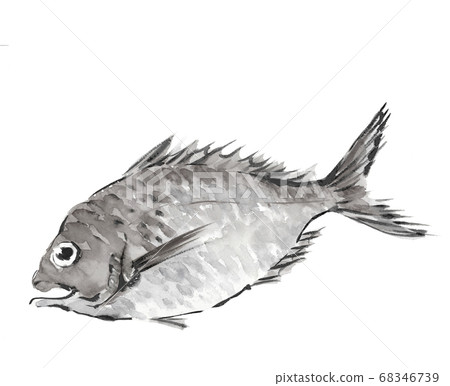 Taitai Tai one monotone [ink painting style] 68346739