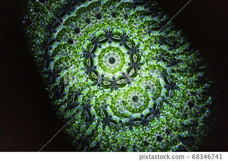 萬花筒外觀 68346741