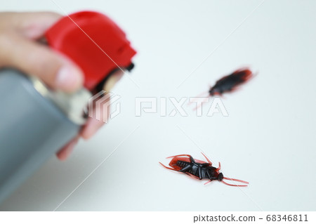 Housewives fight off cockroaches that appeared in the kitchen with insecticides 68346811