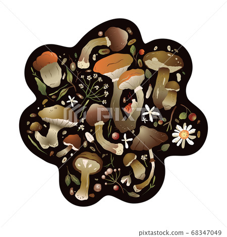Forest vector nature greeting card Forest vector nature greeting card 68347049