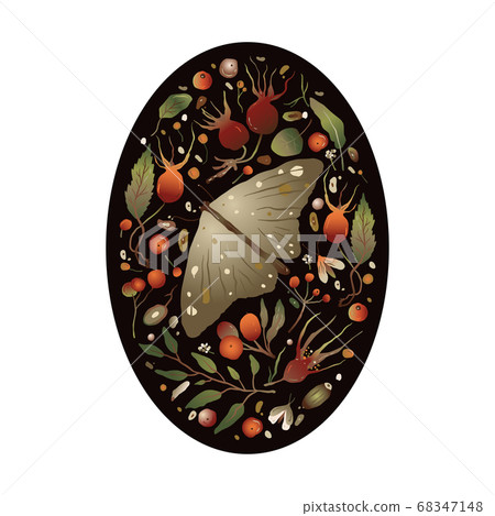 Forest moth vector nature card. 68347148