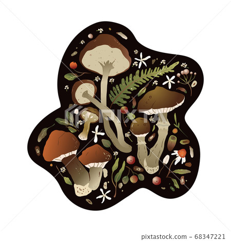 Forest moth vector nature card. 68347221