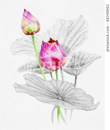 Painting  pink bouqet, happy postcard colorful 68348662